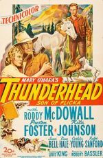 Thunderhead: Son of Flicka