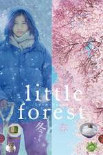 Little Forest: Winter/Spring