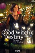 The Good Witchs Destiny