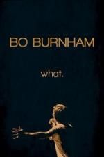 Shikoni Bo Burnham: what. 123movies