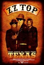 ZZ Top: That Little Ol\' Band from Texas