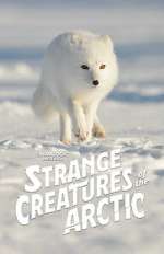 Strange Creatures of the Arctic (TV Special 2022)
