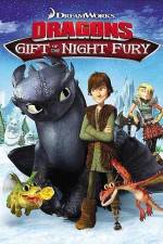 Dragons Gift of the Night Fury