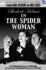 The Spider Woman