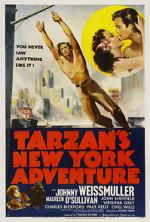 Tarzan\'s New York Adventure