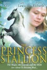 The Princess Stallion