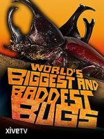 World\'s Biggest and Baddest Bugs