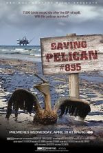 Saving Pelican 895 (Short 2011)
