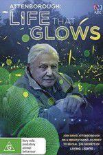 Attenborough\'s Life That Glows
