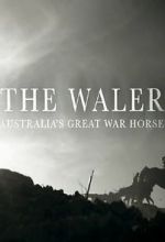 The Waler: Australia\'s Great War Horse