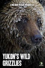 Yukon\'s Wild Grizzlies