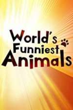 The World\'s Funniest Animals