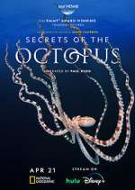 Secrets of the Octopus Season 1 Episode 1