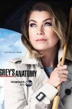 Grey's Anatomy Season 20 Episode 8