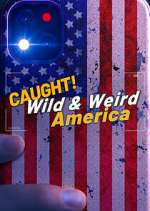 Wild & Weird America Season 1 Episode 11