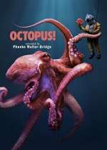 Octopus! Season 1 Episode 1